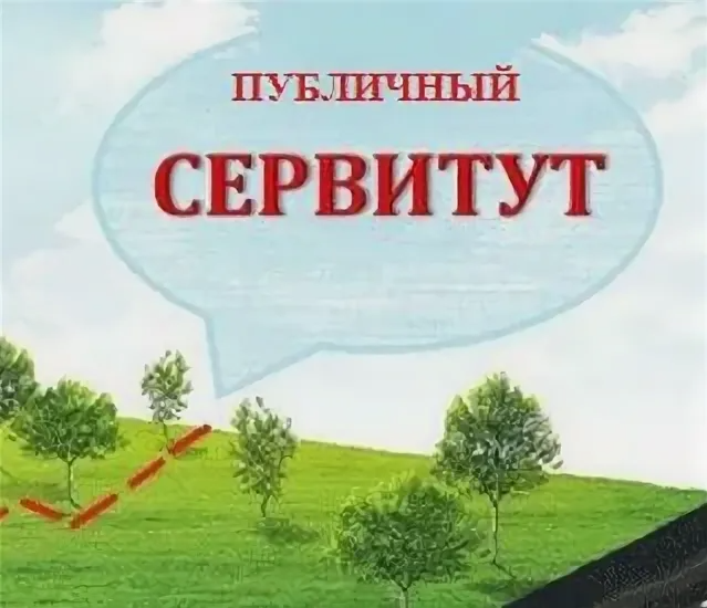Информация об установлении публичных сервитутов от 13.08.2026