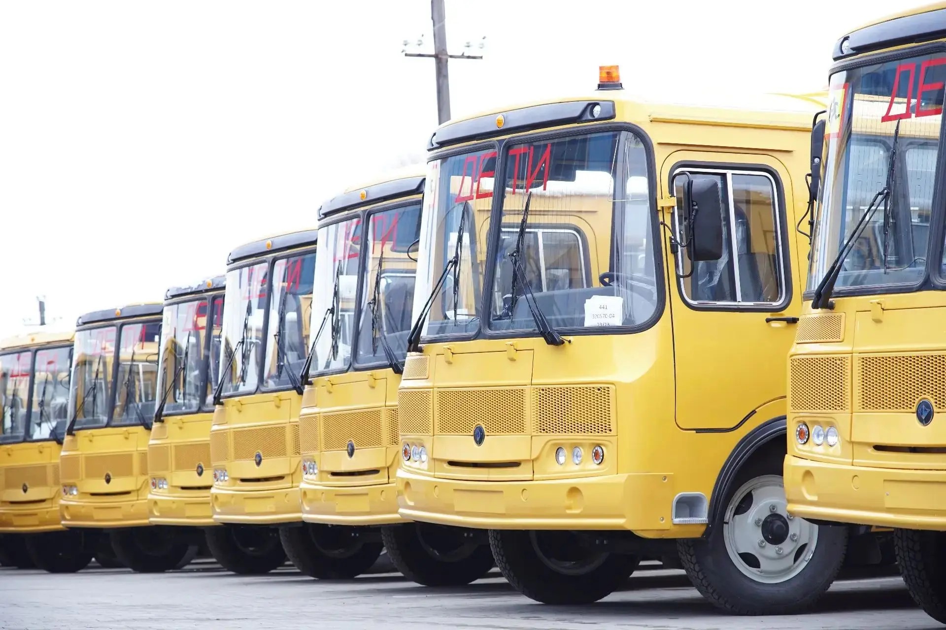 Кузбасс получил 18 новых школьных автобусов