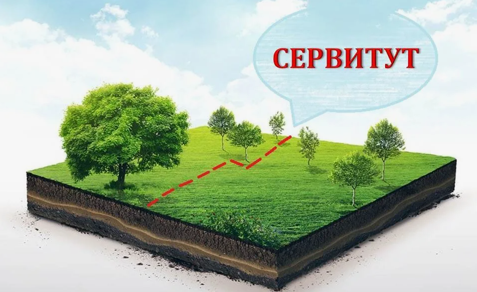 Информация об установлении публичных сервитутов от 25 августа