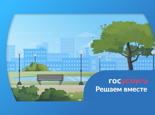 Что дает статус волонтера. Отвечаем через ПОС